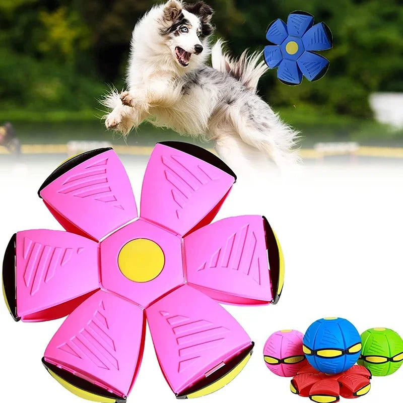 Dog Toys Flying UFO - Doddy Disc Ball