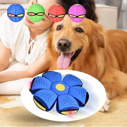 Dog Toys Flying UFO - Doddy Disc Ball