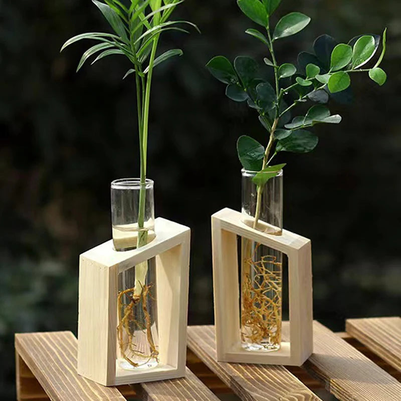 Test Tube Fresh Flowers Vases