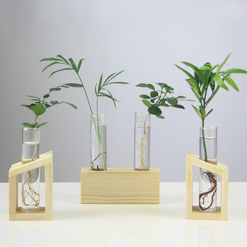 Test Tube Fresh Flowers Vases 1