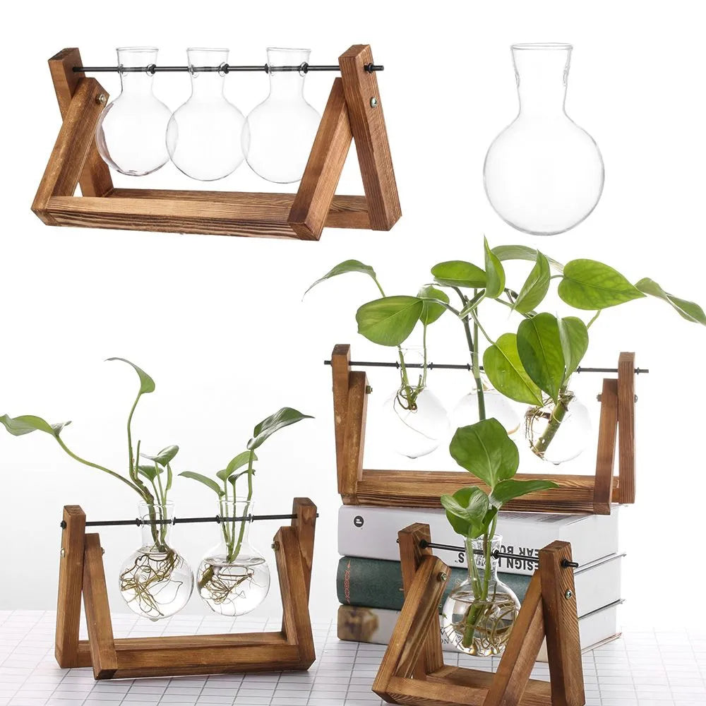 Hydroponic Glass Plant Vases Vintage Bonsai Flower Pot